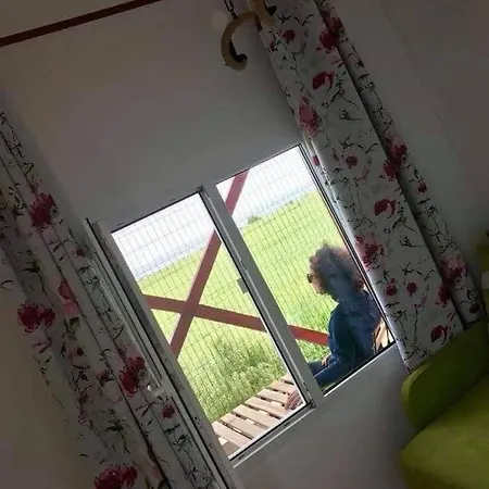Campsite Mara Si Marea *