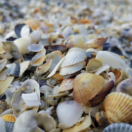 Mara Si Marea * Corbu (Constanta)
